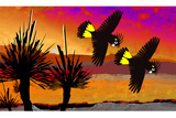2BlackCockatoos
