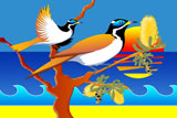 2BlueCheekedHoneyEaters2
