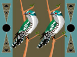 2 Diederik Cuckoos.
