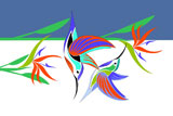 2HummingBirds