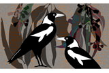 2Magpies2