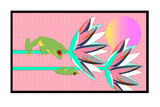 2 Red Eye Frogs