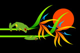 2 Red Eye Frogs 2