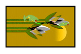 2 Red Eye Frogs 4