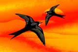 2Swallows4