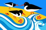 3OysterCatchers