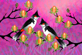 Banksia BulBuls