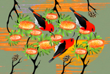 Banksia Scarlets 11