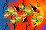 Banksia Scarlets 12