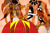 BendigoMagpies2