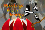 BendigoMagpies5