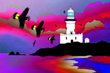 BlackCockyBay6