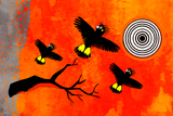 Black Cocky Sun