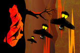BlackCockySunset5