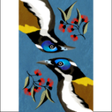 Blue Faced HoneyEaters.