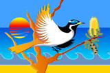 BlueCheekedHoneyEater10