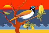 BlueCheekedHoneyEater4