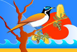 BlueCheekedHoneyEater5