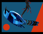 Blue Dacnis