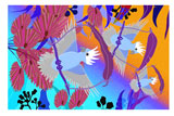 BlueGalahs