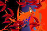 BlueStripedNumBat3