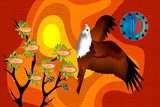 Brahminy Kite 5