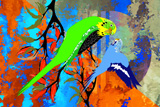BushFire Budgies 2