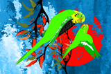 BushFire Budgies 3