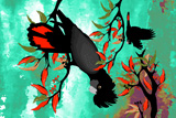 BushFire FireTails 2