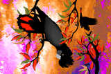 BushFire FireTails 3