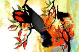 BushFire FireTails 4