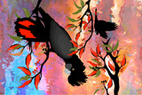 BushFire FireTails 6