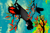 BushFire FireTails 7