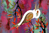 BushFire Kookaburra 10