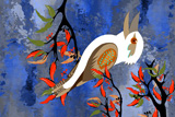 BushFire Kookaburra 11