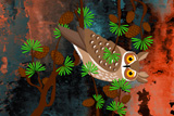 BushFire Owl 7
