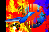 BushFire Rosella 2