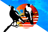 BushFire Singing Magpie 4