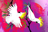 BushFire Sulfur Crested Cockatoos 2