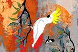 BushFire White Cockatoo