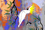 BushFire White Cockatoo 2
