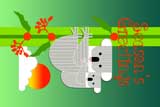 ChristmasKoalas2
