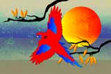 CrimsonRosella