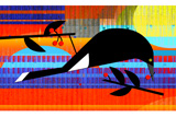 Currawong6