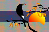 CurrawongSunRise
