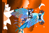 Dame Edna Owls 16