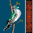 Diederik Cuckoo 5.