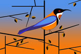 EasternSpineBill2
