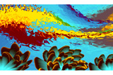 FireReef