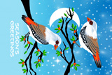 Firetail Christmas 6